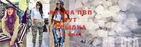 гашик Алексеевка